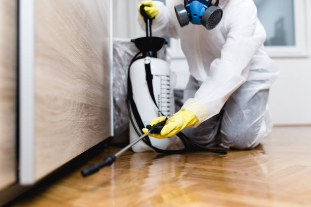 Best Cockroach Control Services  in Lake Panasoffkee, FL