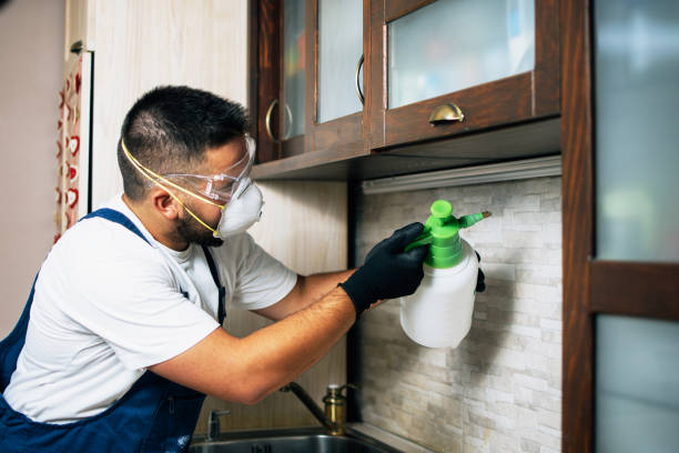Best Best Pest Control Companies  in Lake Panasoffkee, FL