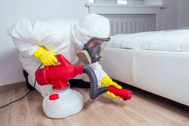Best Affordable Pest Control Services  in Lake Panasoffkee, FL