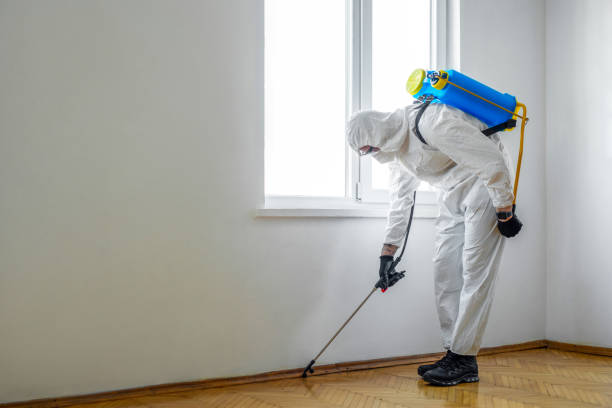 Trusted Lake Panasoffkee, FL Pest Control Experts