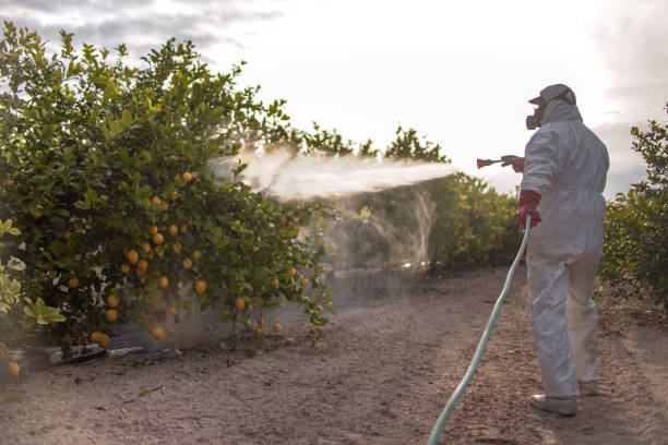Best Pest Control Cost  in Lake Panasoffkee, FL