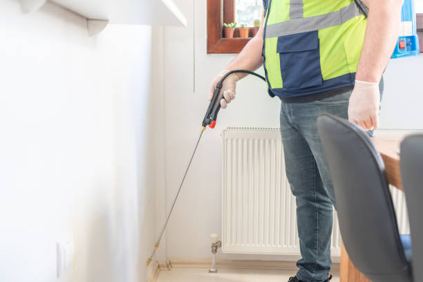 Wasp Removal Services in Lake Panasoffkee, FL