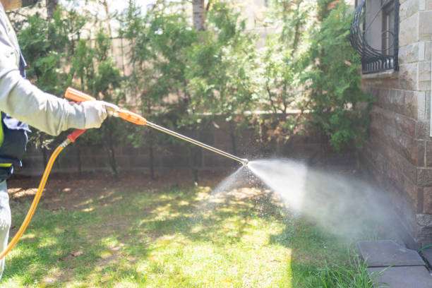 Bird Control in Lake Panasoffkee, FL