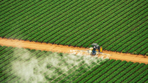 Best Pest Inspection Near Me  in Lake Panasoffkee, FL
