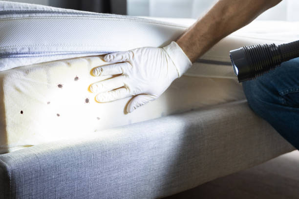Best Pest Control Near Me  in Lake Panasoffkee, FL