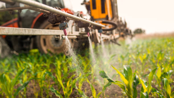 Best Commercial Pest Control Services  in Lake Panasoffkee, FL