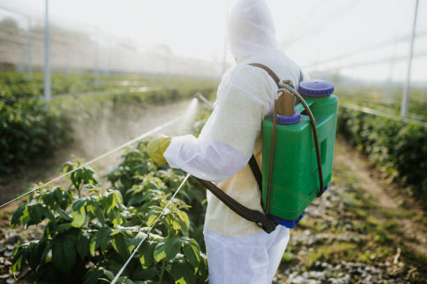 Flea Control Services in Lake Panasoffkee, FL